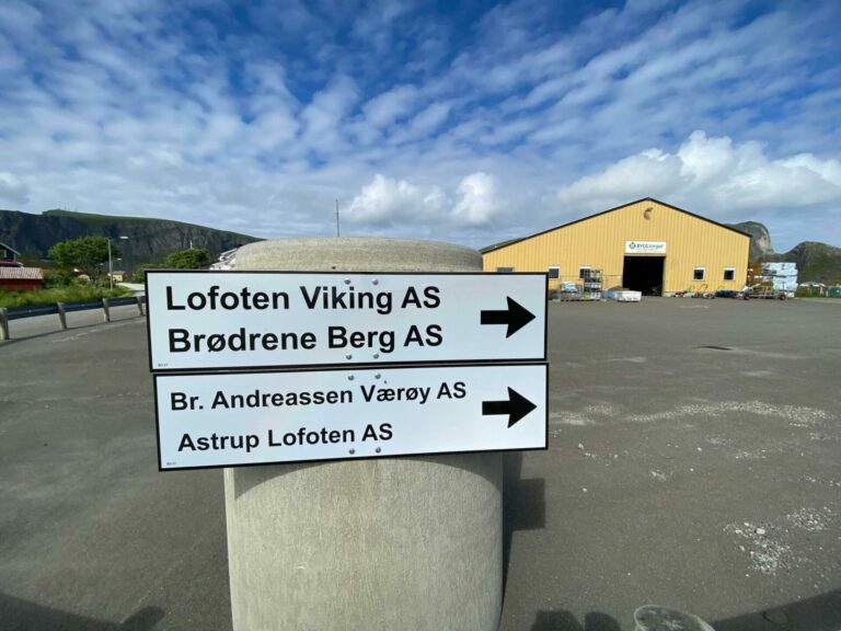 Fiskekjøperne på Værøy; Brødrene Berg AS, Brødrene Andreassen Værøy AS, Lofoten Viking AS, og Astrup Lofoten AS har skrevet brev til Fiskeridirektoratet etter at regulering av Lofotfisket har kommet. Foto: Inger Unstad