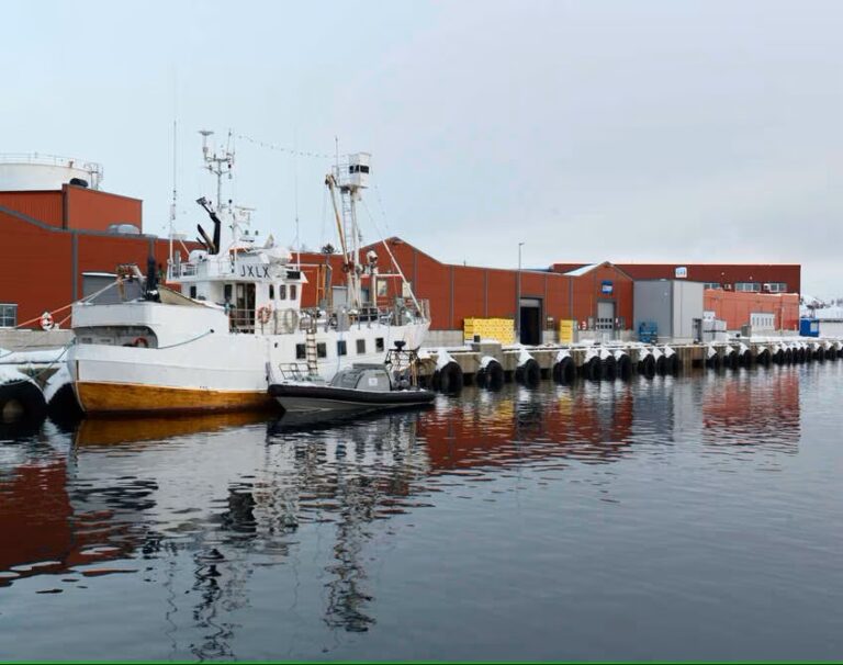 Lerøy har fått kritikk fra Arbeidstilsynet, og blir også nå bøtelagt av politiet etter dødsulykken.