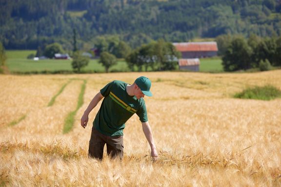 LØNNSOMT OG LANGSIKTIG: Landbruket og bonden spiller en avgjørende og samfunnskritisk rolle for sikker matforsyning. Å drive gård og produsere mat er på mange måter den enkleste formen for bærekraft. Det handler om å drive lønnsomt og langsiktig, skriver Anne Jødahl Skuterud i dette innlegget. Illustrasjonsfoto.