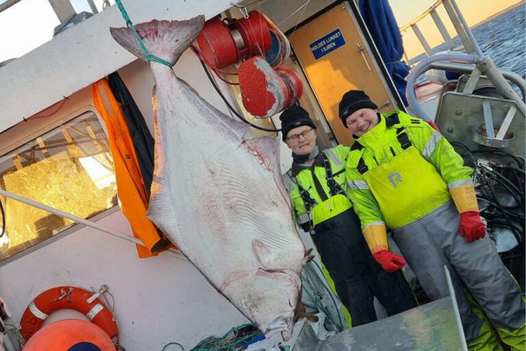 Kveita blir for hardt beskattet, mener forskerne. Nå kommer innstramminger. Her er Olaf Pedersen og Julian Steinsvold. Illustrasjonsfoto.