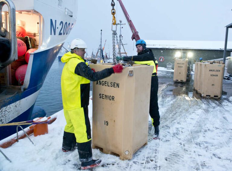 Sigmunn og Sivert Angelsen hekter av kar etter kar under levering på Ramberg.