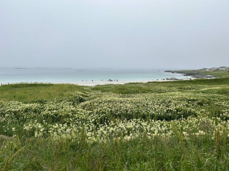 Tomten i Flakstadveien 305 er fortsatt til salgs. Foto: Eirik Husøy