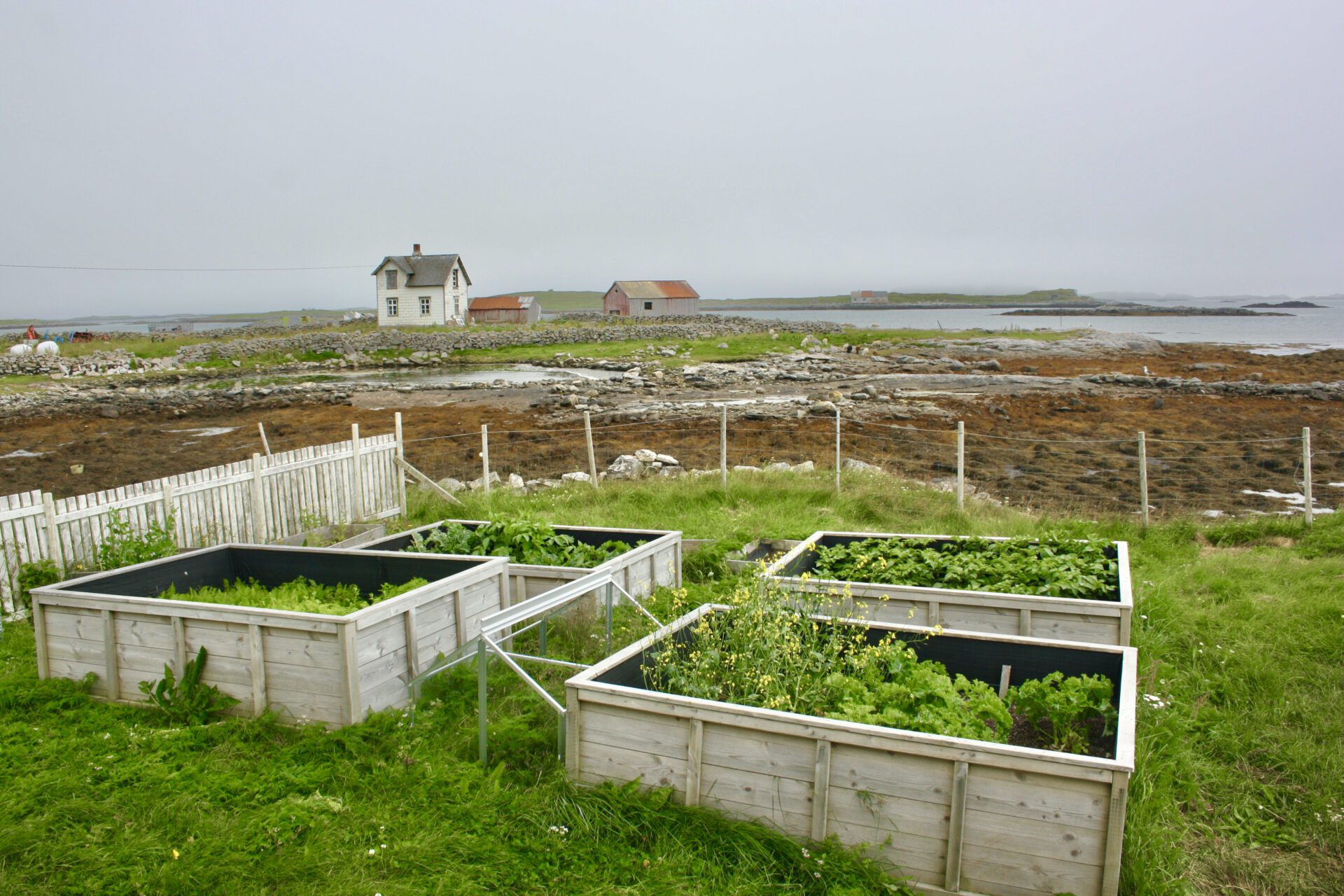 På søndagen kan folk bytte planter i den historiske Alidahagen. I tillegg blir det potetspørrestund med agronom og potetbokforfatter, Marianne Berg.